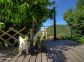 Chambres d'h&ocirc;tes &agrave; Pila Canale, le grand Valinco, en Corse du Sud, labellis&eacute; G&icirc;tes de France : d&eacute;tail d&eacute;co dans le jardin 