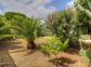 Chambre d'h&ocirc;tes &agrave; Pianottoli Caldarello, Corse du Sud : le jardin