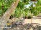 Chambres d'h&ocirc;tes &agrave; Galeria, Balagne, Haute-Corse, labellis&eacute;es G&icirc;tes de France : le jardin