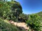 Chambres d'h&ocirc;tes &agrave; Pila Canale, le grand Valinco, en Corse du Sud, labellis&eacute; G&icirc;tes de France : le terrain de p&eacute;tanque 