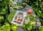 Maison d'h&ocirc;tes &agrave; Alando, Centre-Corse, Haute-Corse, labellis&eacute; G&icirc;tes de France : l'ap&eacute;ritif &agrave; votre arriv&eacute;e