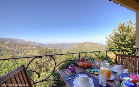 Kamer bij particulieren nr.55751 Nessa - Corse - Maison d'h&ocirc;tes &agrave; Nessa, Balagne, Haute-Corse, labellis&eacute; G&icirc;tes de France : la terrasse