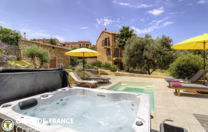 Kamer bij particulieren nr.26021 PIANA - Corse - E Valle - Chambre d'h&ocirc;tes, &agrave; Piana, la c&ocirc;te Ouest, Corse du Sud, labellis&eacute; G&icirc;tes de France : la piscine et le spa