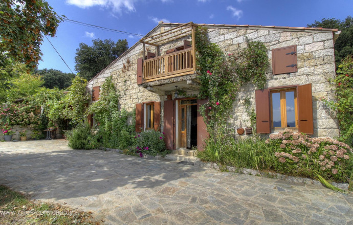 Kamer bij particulieren nr.17731 LEVIE - Corse - Riccu - Chambre d'h&ocirc;tes &agrave; Levie, Le Sud Corse, Corse du Sud, labellis&eacute; G&icirc;tes de France : la maison des prorpi&eacute;taires