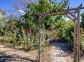 Chambres d'h&ocirc;tes, Poggio Marinaccio, Centre-Corse, Haute-Corse, labellis&eacute; Gites de France : le jardin