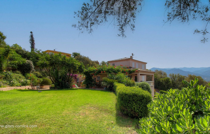 Kamer bij particulieren nr.18782 BASTELICACCIA - Corse - Casa Suaralta - Chambre d'h&ocirc;tes &agrave; Bastelicaccia, le Grand Ajaccio en Corse du sud, labellis&eacute;e G&icirc;tes de France : la maison