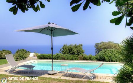 Kamer bij particulieren nr.57251 Brando - Corse - Maison d'h&ocirc;tes &agrave; Brando, Grand Bastia, Haute-Corse, labellis&eacute;e G&icirc;tes de France Corse : la piscine