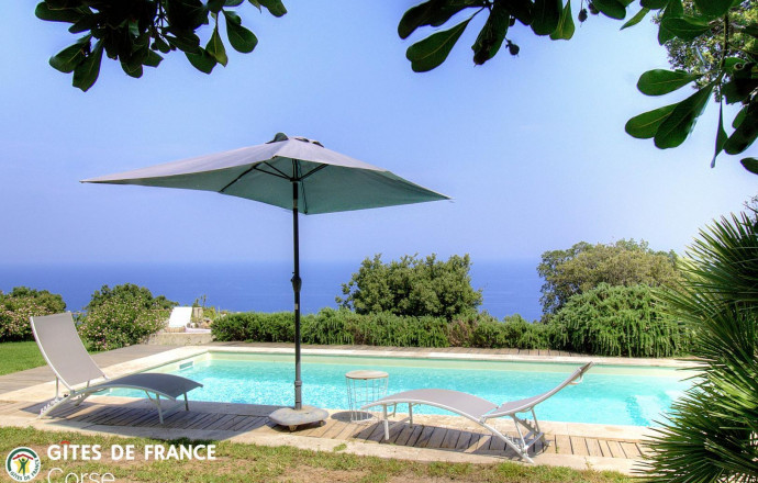 Kamer bij particulieren nr.57251 BRANDO - Corse - Villa Elisabeth - Maison d'h&ocirc;tes &agrave; Brando, Grand Bastia, Haute-Corse, labellis&eacute;e G&icirc;tes de France Corse : la piscine
