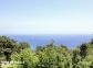 Maison d'h&ocirc;tes &agrave; Brando, Grand Bastia, Haute-Corse, labellis&eacute;e G&icirc;tes de France Corse : la vue depuis le jardin