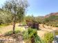 Chambres d'h&ocirc;tes &agrave; Galeria, Balagne, Haute-Corse, labellis&eacute;es G&icirc;tes de France : le jardin
