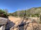 chambres d'h&ocirc;tes &agrave; Ucciani en Corse du Sud, labellis&eacute;es G&icirc;tes de France : le terrain de p&eacute;tanque