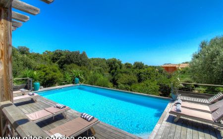 Kamer bij particulieren nr.21691 Sainte lucie de porto vecchio - Corse - Chambre d'h&ocirc;tes &agrave; Sainte-Lucie de Porto-Vecchio, le Sud Corse : la piscine