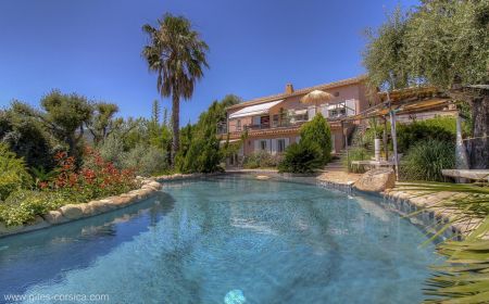 Kamer bij particulieren nr.21991 Sari-Solenzara - Corse - Chambres d'h&ocirc;tes &agrave; Favone, Corse-du-Sud, labellis&eacute;es G&icirc;tes de France : la maison avec la piscine