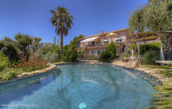 Kamer bij particulieren nr.21991 SARI SOLENZARA - Corse - Casa del Sole - Chambres d'h&ocirc;tes &agrave; Favone, Corse-du-Sud, labellis&eacute;es G&icirc;tes de France : la maison avec la piscine