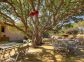 Chambres d'h&ocirc;te &agrave; Figari, le sud Corse en Corse du sud : le jardin d'ornement &agrave; l'entr&eacute;e