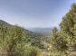 chambre d'h&ocirc;tes &agrave; Sollacaro, le Grand Valinco Corse du sud, labellis&eacute; G&icirc;tes de France : la vue depuis la maison d'h&ocirc;tes